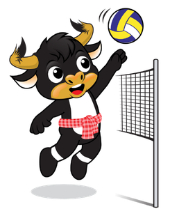 วอลเลย์บอล วอลเลย์บอล